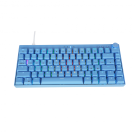 Hot sale RGB Gaming Keyboard Wireless OEM Keyboard Dual Mode Mechanical Keyboard