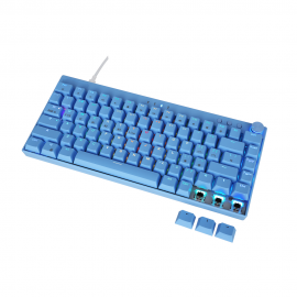 Hot sale RGB Gaming Keyboard Wireless OEM Keyboard Dual Mode Mechanical Keyboard