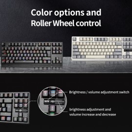 Custom Mechanical Switch Hotswap TKL Compute Keyboard Ergonomic Gaming RGB Backlight Mechanical Keyboard