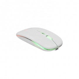 Cartoon Printing Computer Mouse 2.4GHz Wireless Mute Mouse with LED lighting for Gaming Player